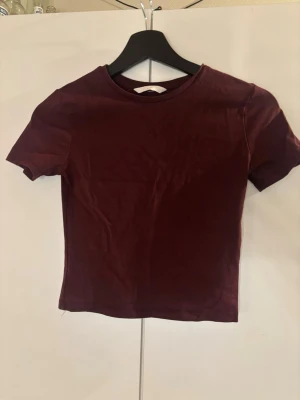 Mörkröd croppad topp från Hm - En enkel och stilren mörkröd croppad topp från Hm. T-shirten har rund halsringning och korta ärmar. Använder inte längre då den är för liten💕