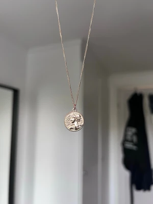 Guldigt halsband med myntberlock - Halsband i guldfärg med en rund berlock. Tunn kedja och minimalistisk look. 