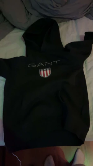 Flera tal hoddie och T-shirts en för 100 alla för 550 - 1 för 100 kr alla för 550