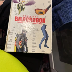 Norstedts Bildordbok: Svenska-Engelska-Franska-Tyska - Upptäck över 25 000 ord på fyra språk med hjälp av 3 500 färgglada bilder! Perfekt för dig som är nyfiken på allt från djur och natur till teknik, sport, musik och arkitektur. En inspirerande och lärorik blädderbok för unga och unga vuxna.