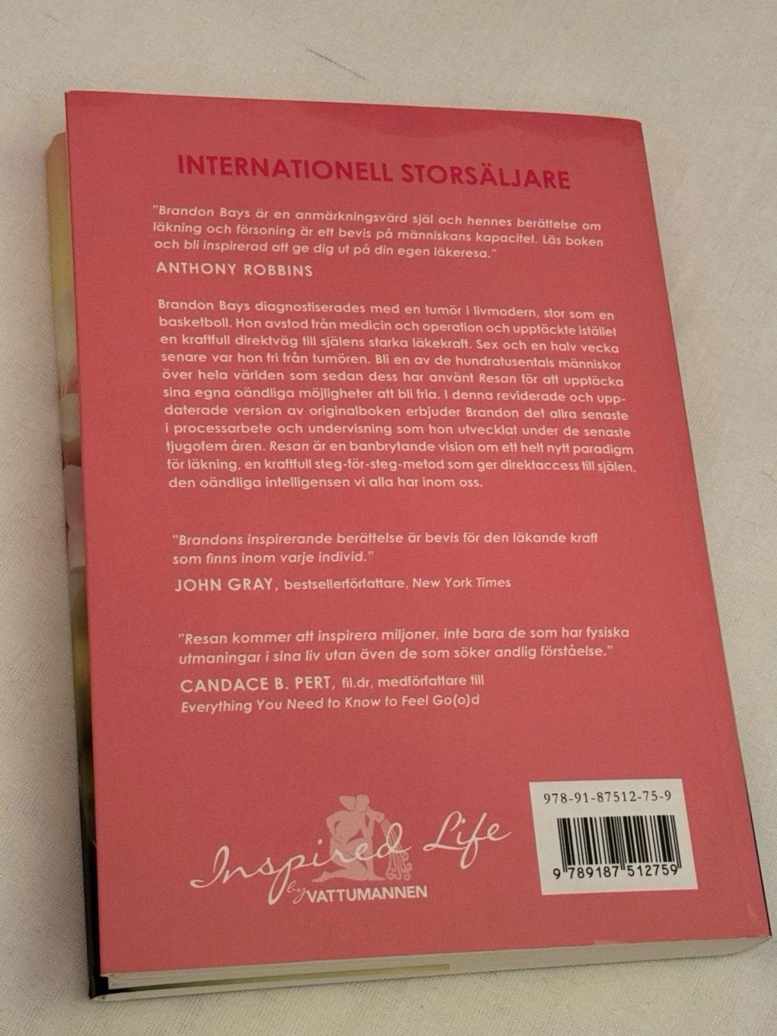 Bok: Resan av Brandon Bays på svenska  - 2