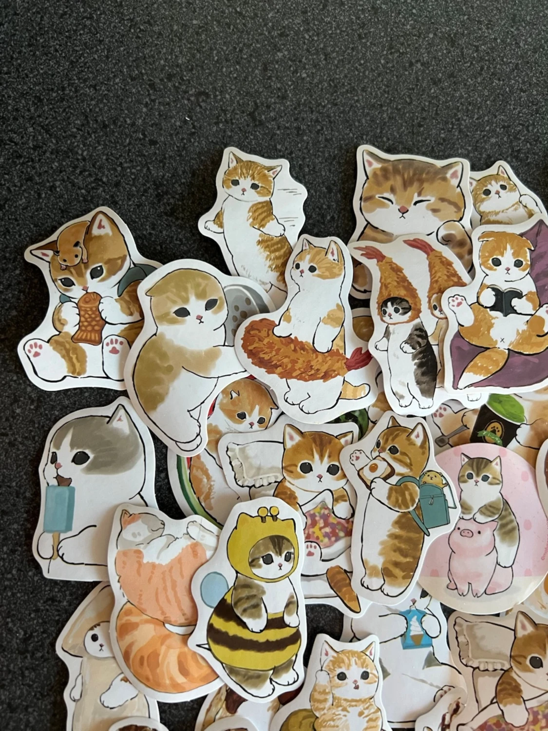 Katt klistermärken  - 2