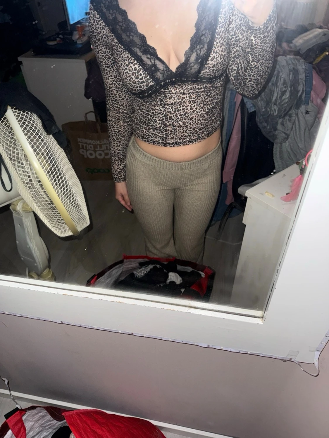 Leopardmönstrad croppad blus med spets