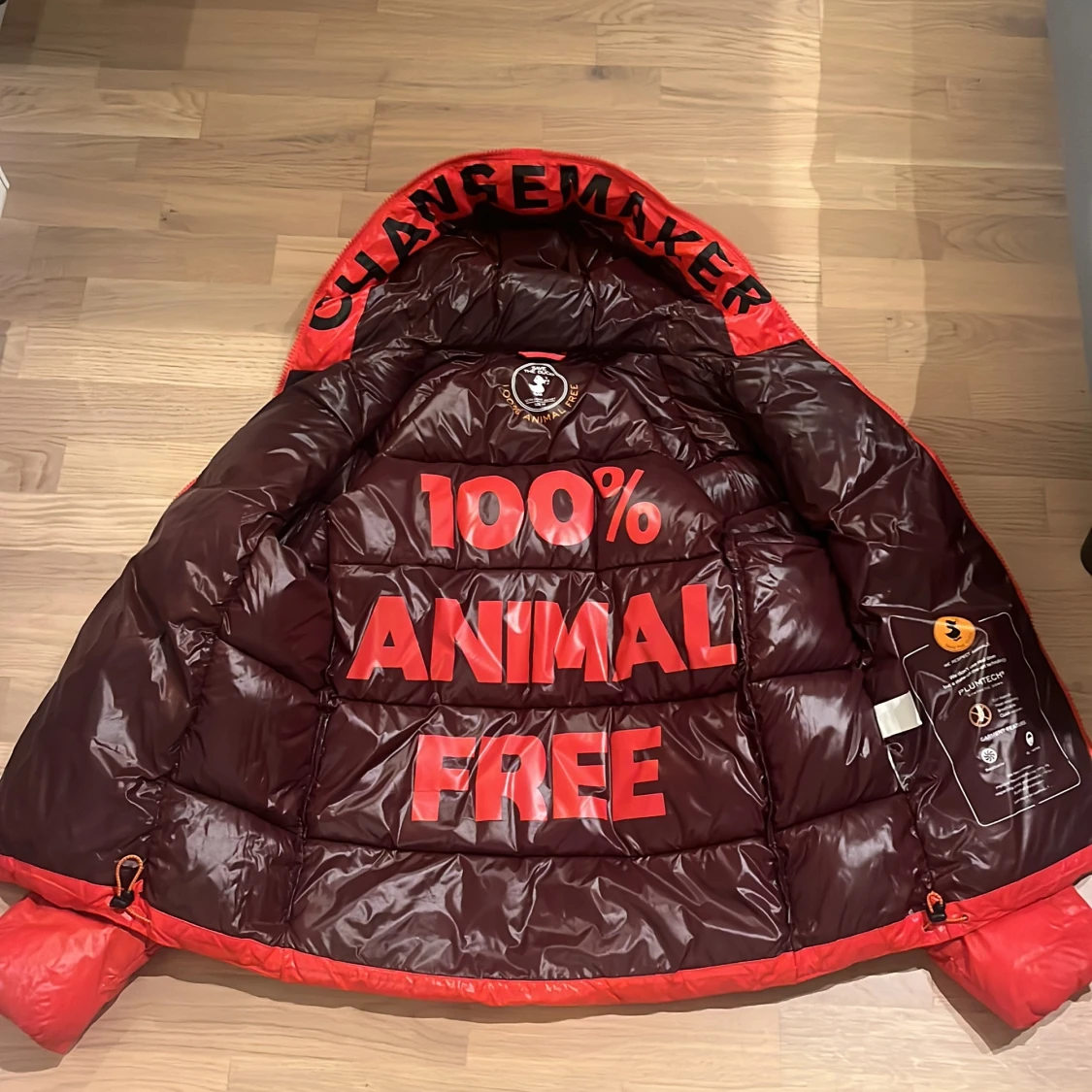 Save the duck Edgard - 3