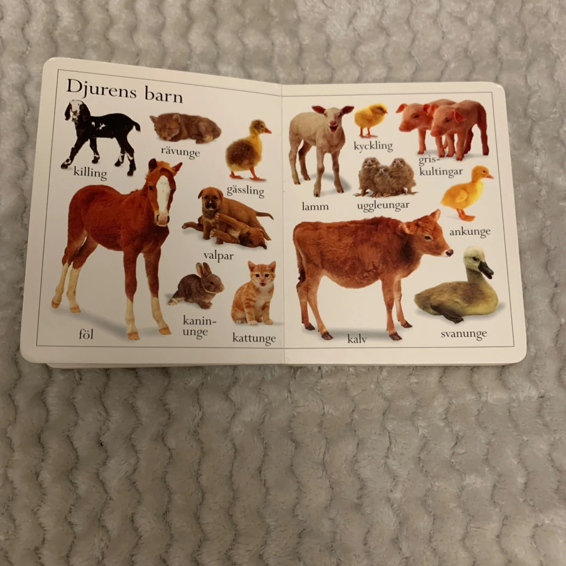 Min lilla djurbok - 3