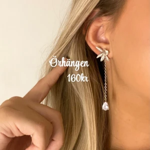 Örhängen  - Finns guld 