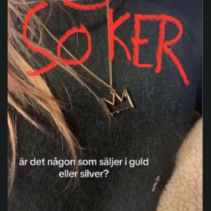 Guldigt halsband med krona - SÖKER!!!!!  Guld eller silver 