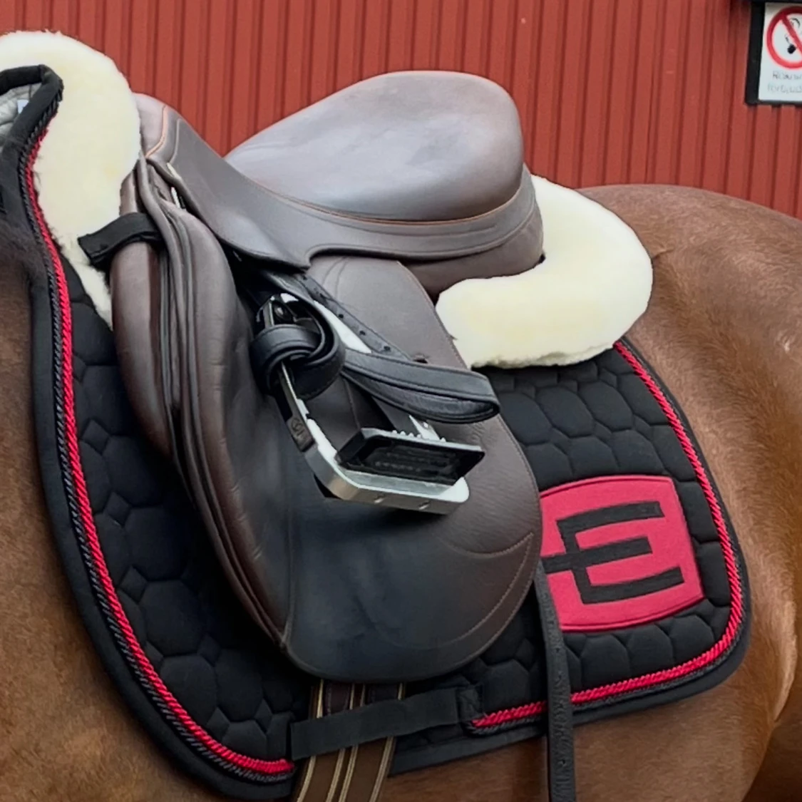 Snyggt Equiline  - 1