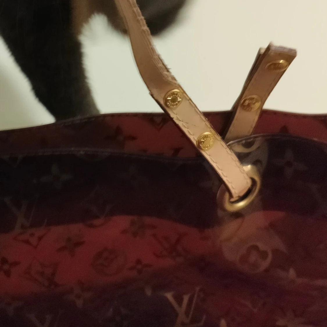 Brun genomskinlig väska. - 4