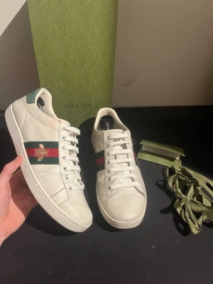 Gucci ace  - Pike från Lacoste 