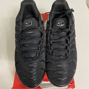 Nike tn skor - Använd ett par gånger