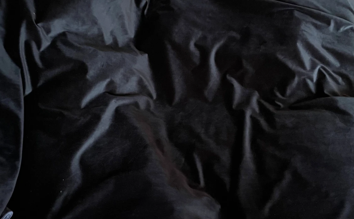 Samnetsgardin 2 styck.