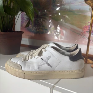 Vita sneakers från Axel Arigato - Snygga vita sneakers från Axel Arigato med broderad fågel på sidan. De är använda ett par gånger där av smutsiga på bilden. De är i storlek 39 och passar både tjej och kille ☺️