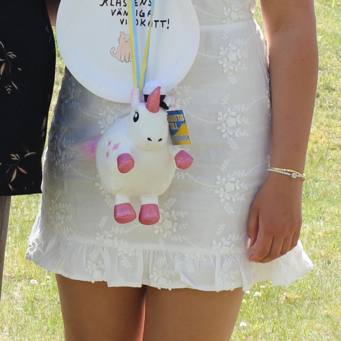 Intressekoll på min studentklänning! - 3
