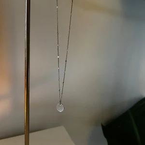 Silverfärgat halsband med rund berlock - Stilrent halsband i silverfärg med tunn kedja och små dekorativa detaljer längs länken. Hängsmycket är en rund, platt berlock som ger en minimalistisk och modern känsla. 🌟