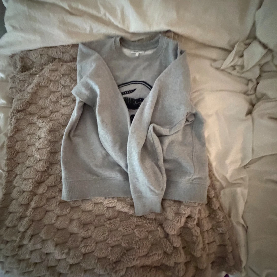 Grå sweatshirt från Lacoste med tryck - 3