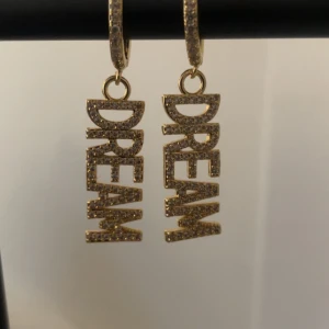 Guldiga örhängen med texten DREAM - Snygga guldiga örhängen med hängande texten 'DREAM' täckt av glittrande stenar. Bokstäverna är stora och tydliga, och hela örhänget har en lyxig vibe med massor av bling. Perfekt för dig som vill sticka ut och sprida good vibes. Rostfria