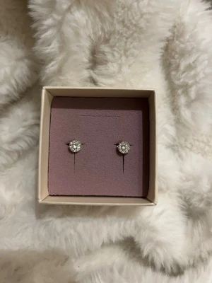 Silvriga örhängen från Lily and Rose - Säljer silvriga örhängen från Lily and Rose helt oanvända pågrund av att jag inte är en silver människa