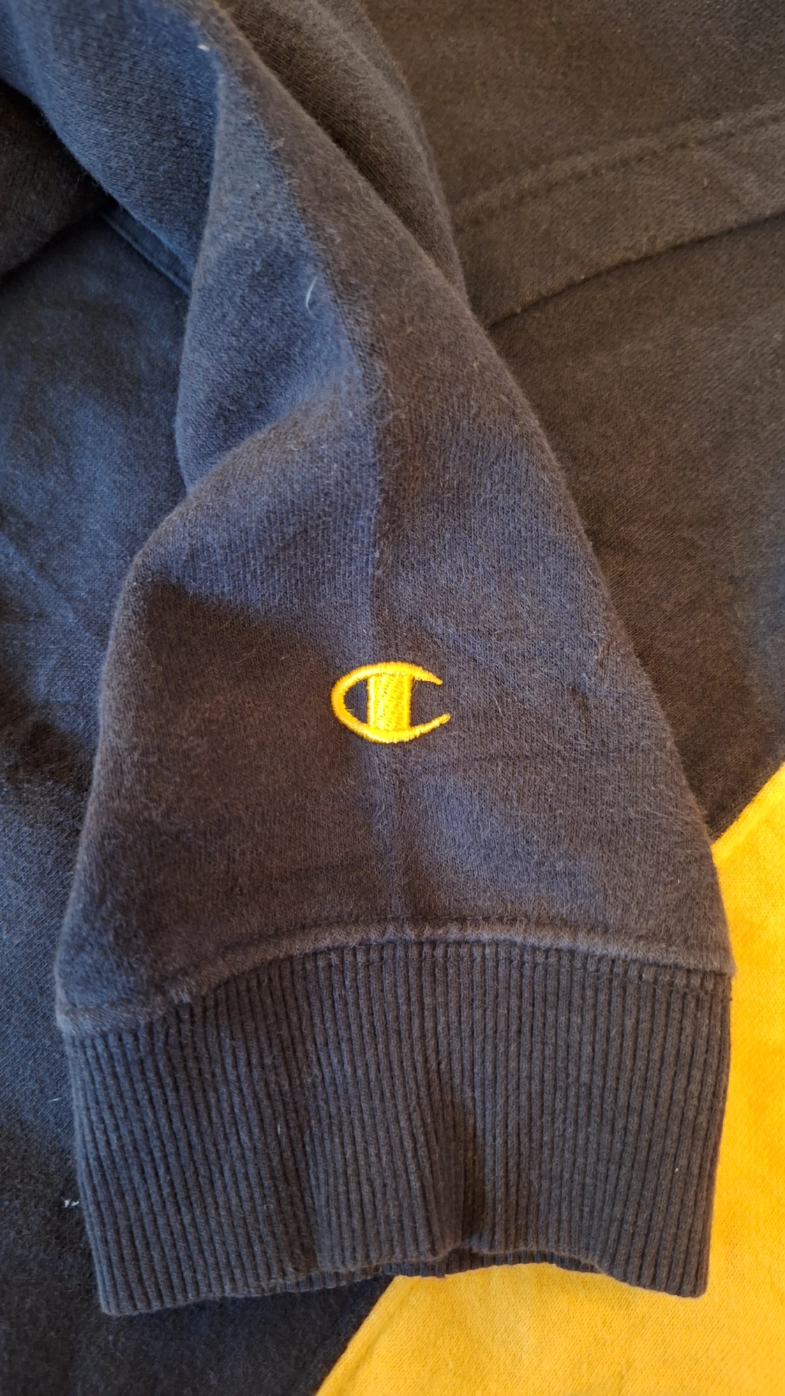 Champion NKU Norse hoodie - 4