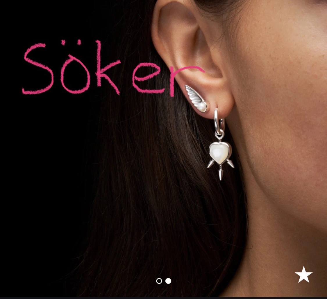SÖKER!! detta örhänge från Maria Nilsdotter