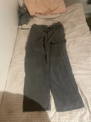 Grå cargopants från STR, stl 38 - Säljer ett par grå cargopants från STR i storlek 38. Byxorna har breda ben, stora fickor på sidorna och klassisk cargostil. Materialet är bomull och de har en avslappnad passform som är perfekt för en chill streetwear-look.