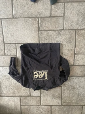 Mörkgrå sweatshirt från Lee - Snygg grå/brun sweatshirt från Lee med stort beach tryck på bröstet. Klassisk rund halsringning och långa ärmar. Perfekt för en avslappnad och trendig look. Tillverkad i mjukt bomullsmaterial.