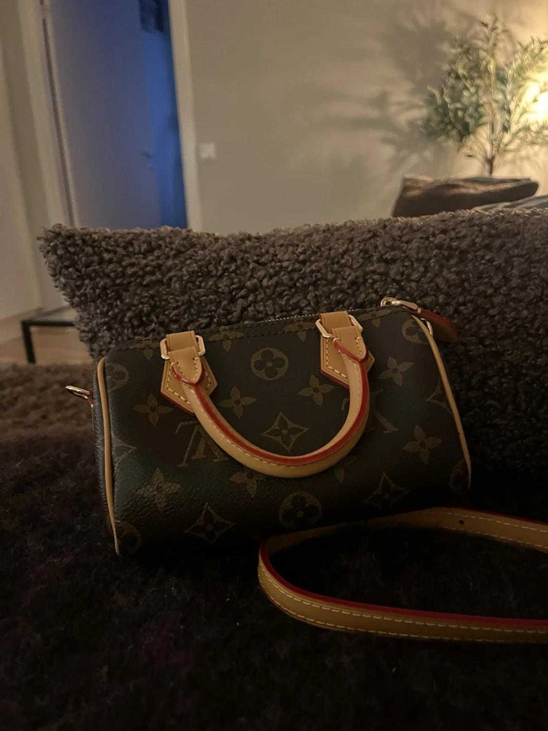 Louis Vuitton Speedy  - 5