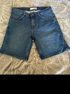 Blå jeansshorts från Visual Clothing Project - Säljer ett par klassiska blå jeansshorts från Visual Clothing Project. De har fem fickor, knapp och dragkedja framtill samt en rak passform som ger en avslappnad look. Perfekta för varma dagar och enkla att matcha med olika stilar.