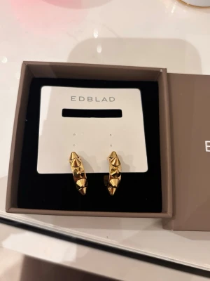 guld örhängen edblad  - helt oanvända guld örhängen med nitar från edblad. säljer då jag fick dubbla i present! skriv vid intresse eller frågor 💕nypris 399kr