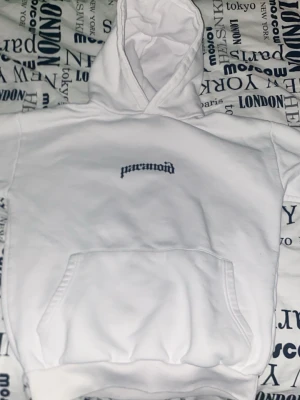 Vit hoodie  - Snygg vit hoodie med svart texten 'paranoid' tryckt på bröstet. Klassisk modell med huva och stor magficka. Perfekt för dig som gillar streetwear och vill ha en enkel men stilren look. Mjuk och skön bomullskänsla.