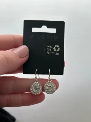 Glittriga örhängen - Säljer ett par runda, silvriga örhängen med gnistrande stenar i mitten och små kristaller runt om. Örhängena har krokfäste. Perfekta för dig som gillar bling och vill ha något extra till din look. I använt skick därav priset🙏🏻