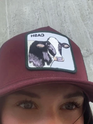 Vinröd keps med ko-patch - Snygg vinröd keps med en broderad patch framtill som föreställer ett ko-huvud och texten 'CASH