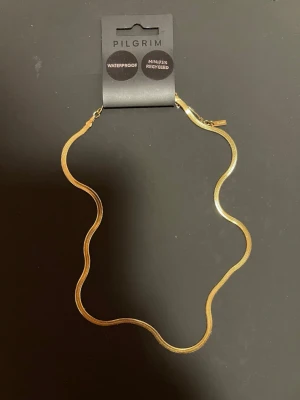 Guldigt halsband från Pilgrim - Helt oanvänt Snyggt guldfärgat halsband från Pilgrim med platt kedja. Halsbandet är minimalistiskt och stilrent, och är vattentåligt. Perfekt för dig som gillar trendiga accessoarer med enkel design. ORG pris 399kr Kan gärna diskutera pris vid snabb affär