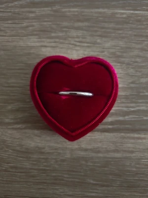Enkel silverfärgad ring - ring i storlek 19,8mm, silverfärgad. 