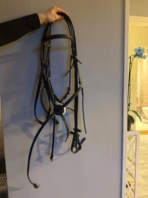 Svart träns i läder till häst - Säljer ett svart träns i läder med flera justerbara remmar och metallspännen. Tränset har nosgrimma och pannband, helt oandvänt. Storlek full men lite liten i storlek 