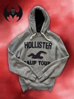 Vintage Hollister Hoodie - Säljer denna eftertraktade Hollister Hoodie | Mycket bra skick, endast en pite liten fläck som syns inte | Size S | längd: 65cm bredd: 50cm armlängd: 61cm | model 178cm, 68kg | Lägg endast bud med avsikt att köpa, inga fördröjning! Pris är inte hugget i sten!