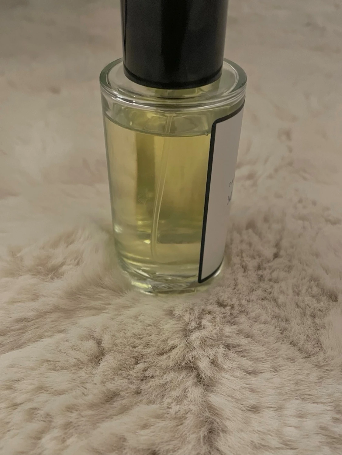 Curiosa Misstachio - 1