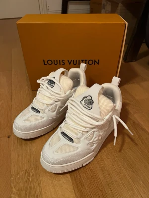 Lv Skor - Säljer mina skor använda 1 gång i storlek 43