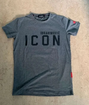 Grå ICON t-shirt från DSQUARED2 - Cool grå t-shirt med svart text 'IBRAHIMOVIC ICON' på framsidan och en stor svartvit bild med DSQUARED2-logga på ryggen. T-shirten har korta ärmar och rund hals, perfekt för dig som gillar sportiga och trendiga plagg.