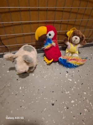 Mjukisdjur papegoja och nalle - Tre mjukisdjur: en färgglad papegoja i rött, gult och blått, en brun nalle med gul mössa och kläder samt ett ljust mjukisdjur med grå fläckar. Perfekta som gosedjur eller dekoration i rummet.