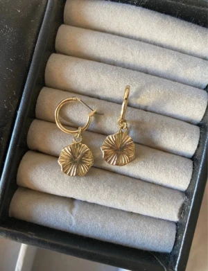 Örhängen - Örhängen