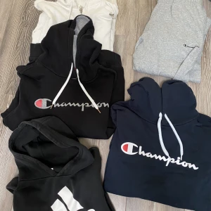 Tröjor hoodies  - Olika mysplagg (Champion, Adidas, Cubus) hoodies och sweatpants / mjukisbyxor❤️Ser du något du gillar? Hör av dig så kommer vi överens om ett pris!🫶