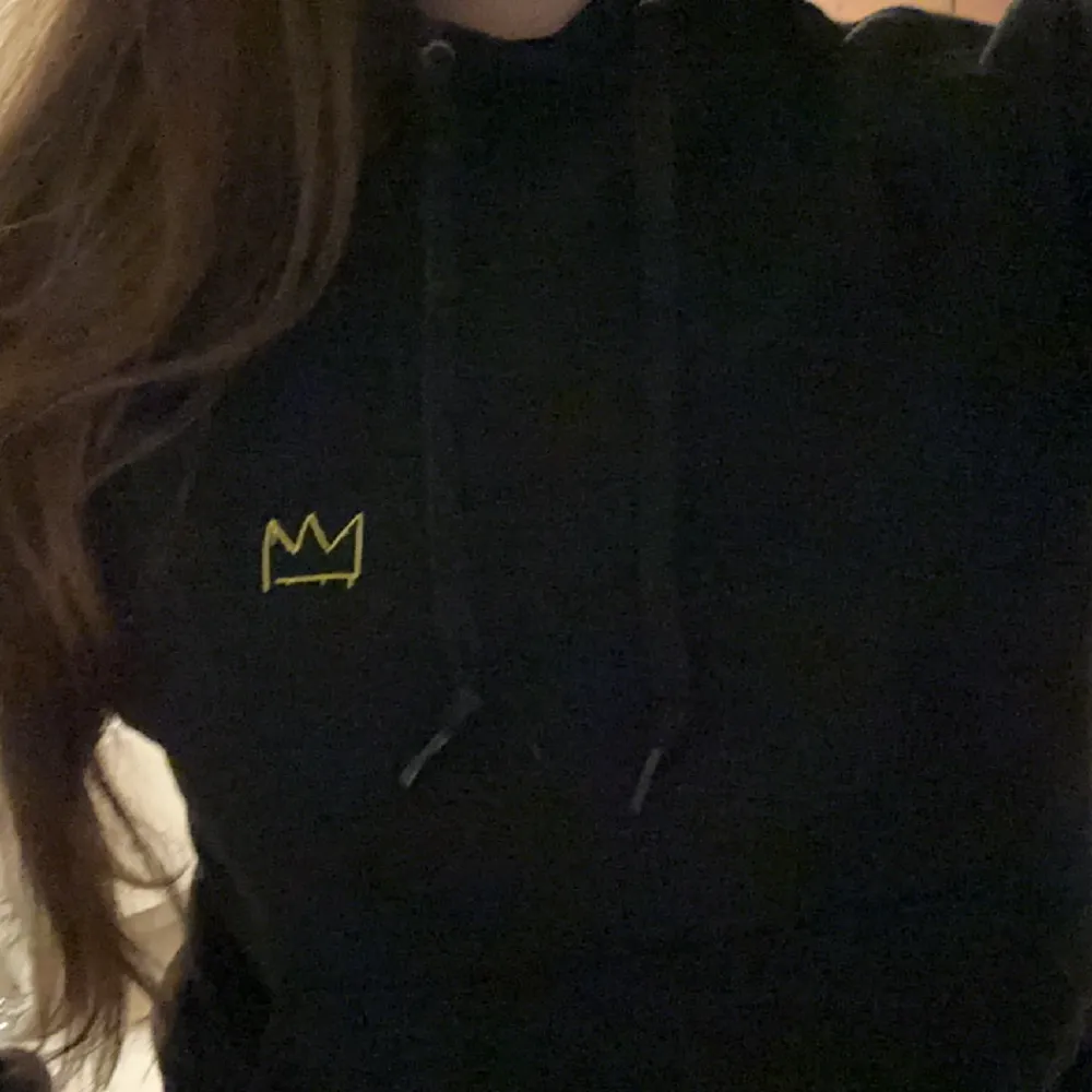 Säljer min hov1 merch. Kommer tyvärr aldrig till använd och använt endast ett fåtal gånger💖 storlek M. Hoodies.