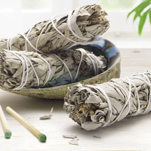 White sage - White sage används ofta för att rena och rensa energin i ett rum eller en person. hjälpa till att rensa negativitet och skapa en positiv atmosfär. 6,7 cm Använd en gång.  Hör av er vid intresse🤍