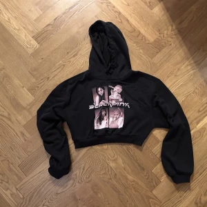 Blackpink hoodie  - Bekväm hoodie från h&m, perfekt skick, använd endast 2 gånger. Priset är inte slagit i sten, kom med prisförslag! 