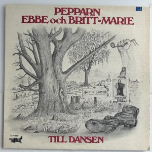 Vinylskiva  - (Köp 5 stycken vinylskivor för 100kr!)✅