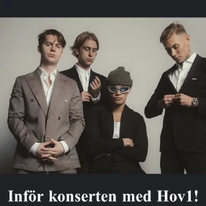 hov1biljett - säljer min hov1 biljett till 18/8 i betongparken denna konsert ät slutsåld