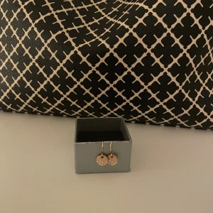 Pilgrim örhängen  - Pilgrim örhängen,aldrig använda. 60+frakt. Pris kan diskuteras!