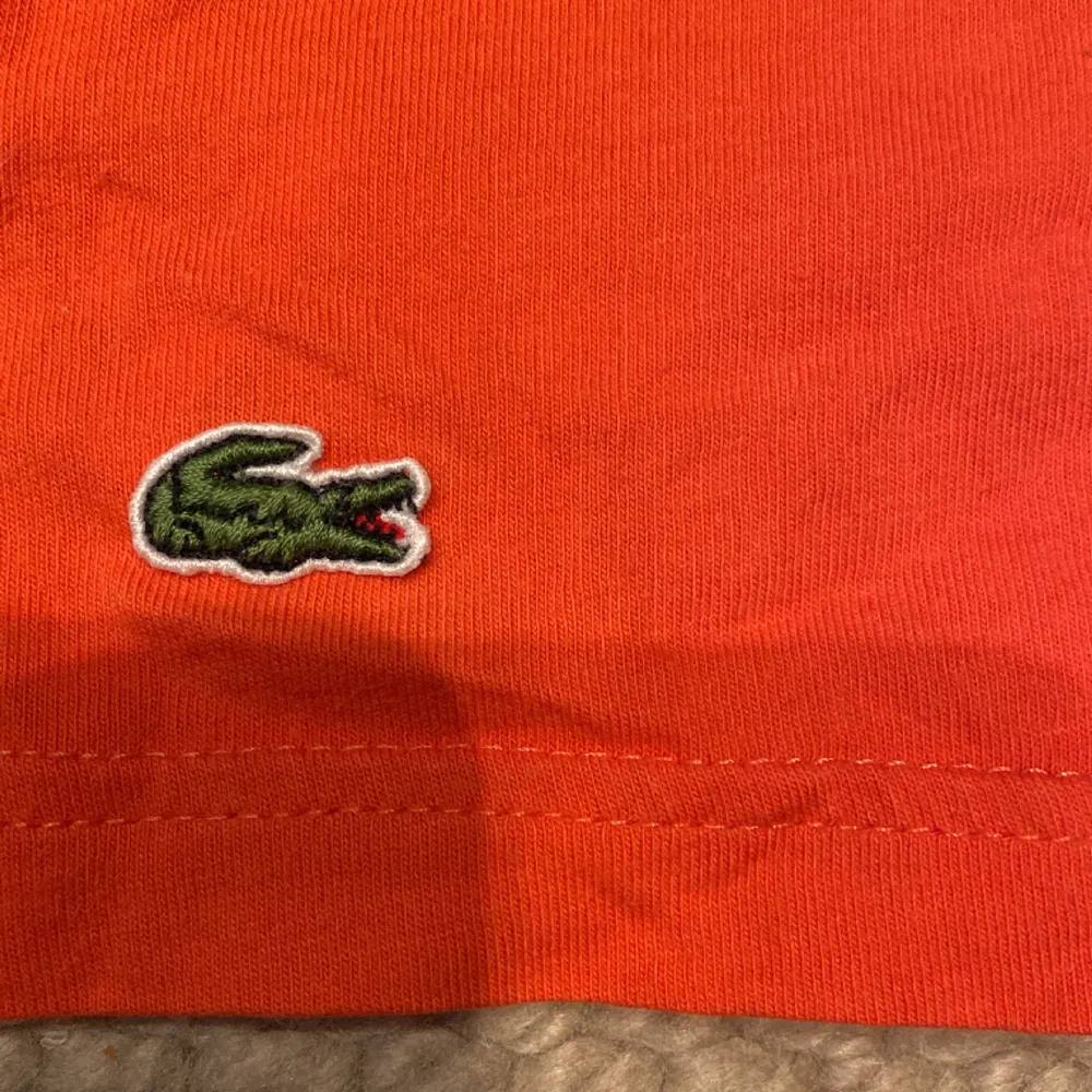 En snygg Lacoste T-shirt. Pojke 6 år, 116 cm.. T-shirts.