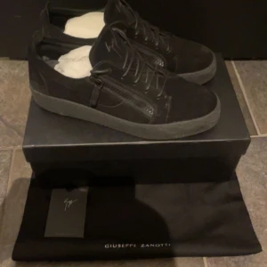 Guiseppe Zanotti Frankie sneaker  - Iprincip helt oanvända Zanotti sneakers, använda typ 4 ggr, allt og medföljer, bara att skriva för fler bilder eller funderingar!